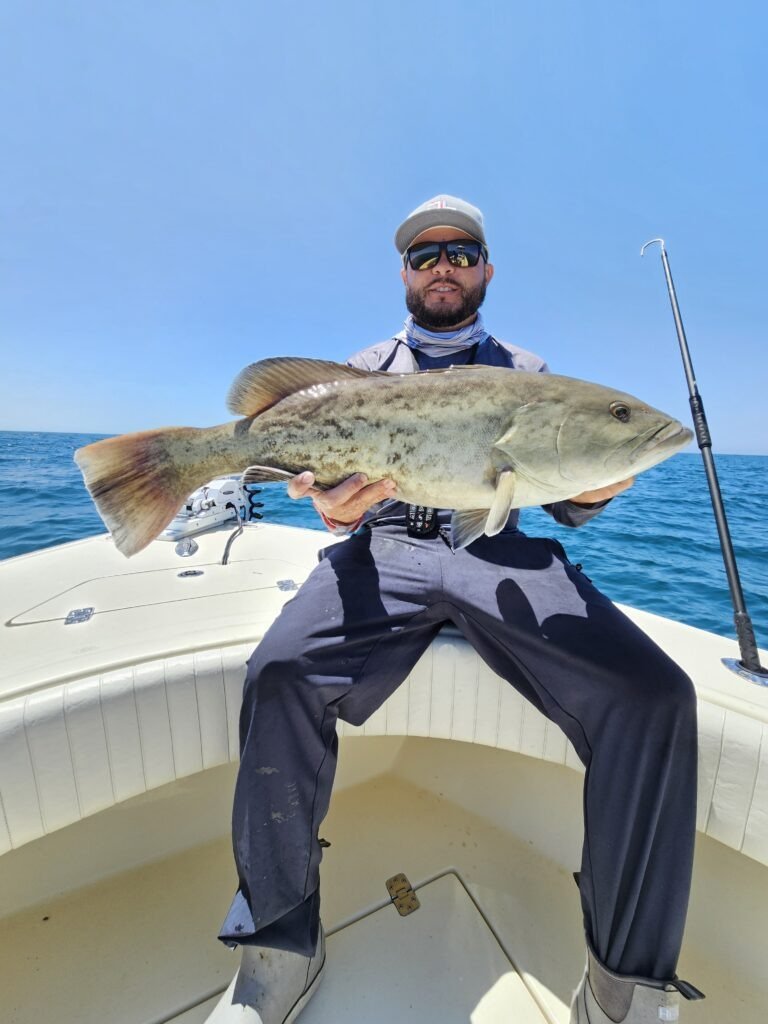 Grouper Season In Tampa Bay: Everything You Need To Know