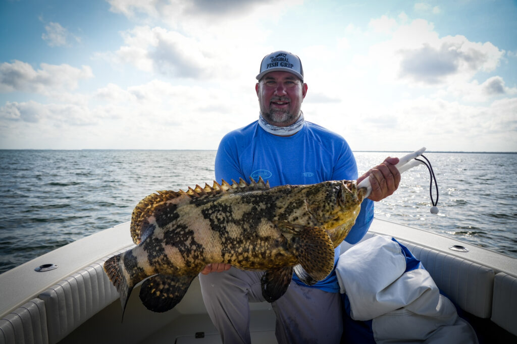 Tampa Bay goliath grouper charter 