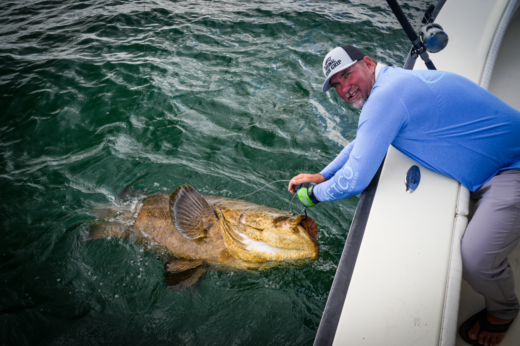 Tampa goliath grouper fishing