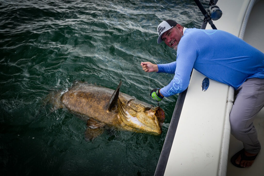 Goliath grouper Salty Scales
