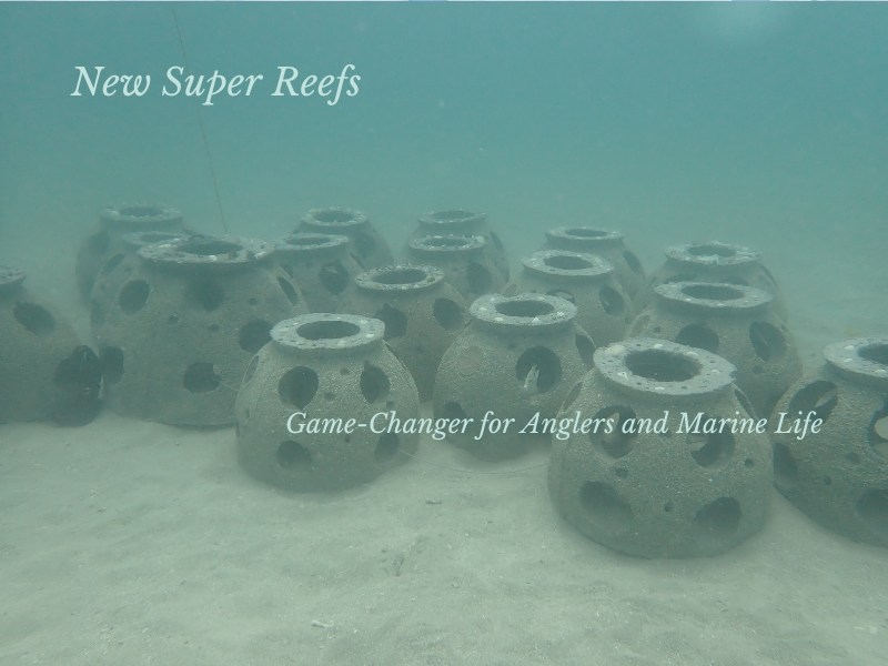 Tampa Bay's New Super Reefs