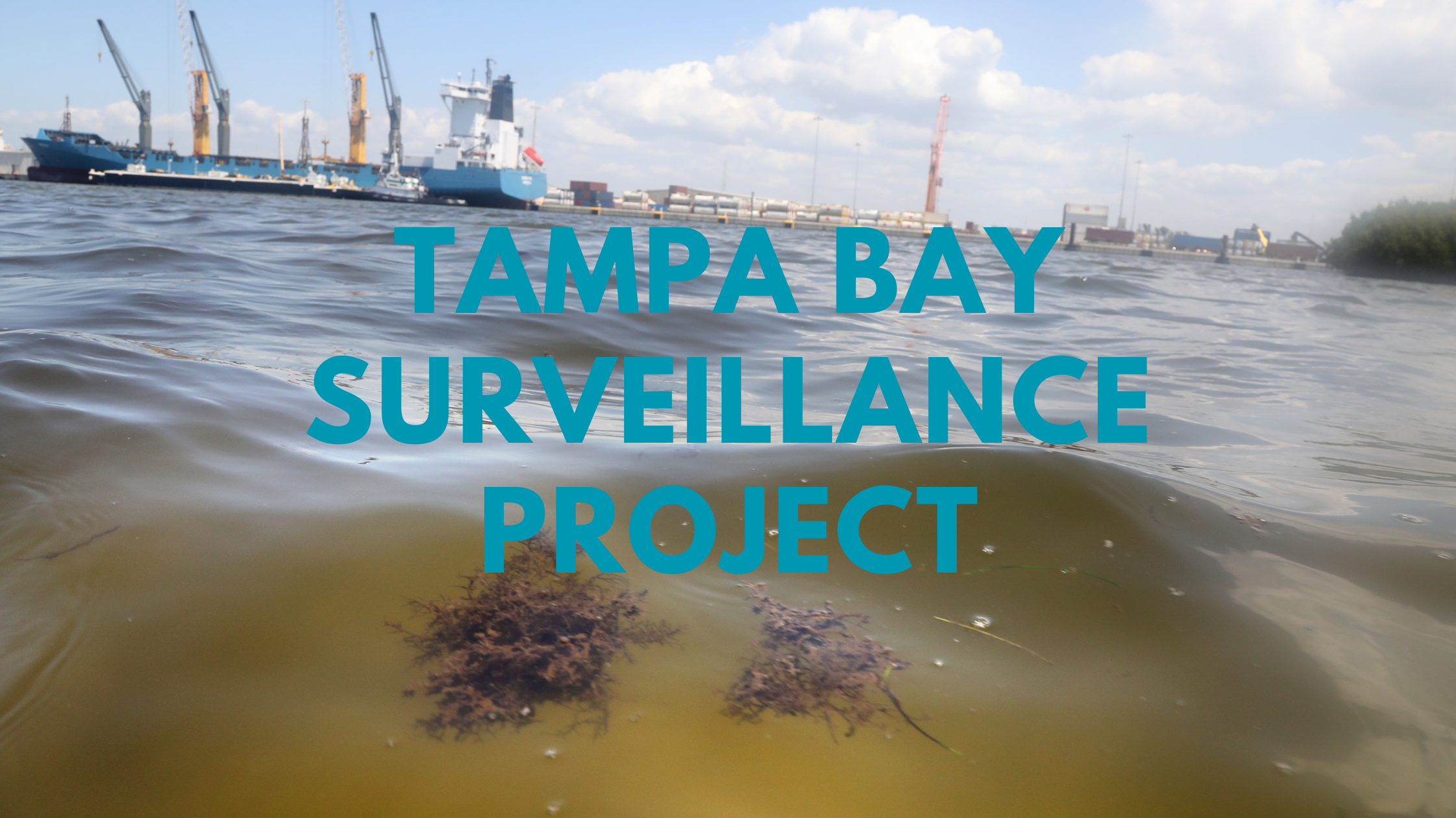 Contaminants in Tampa Bay Waters