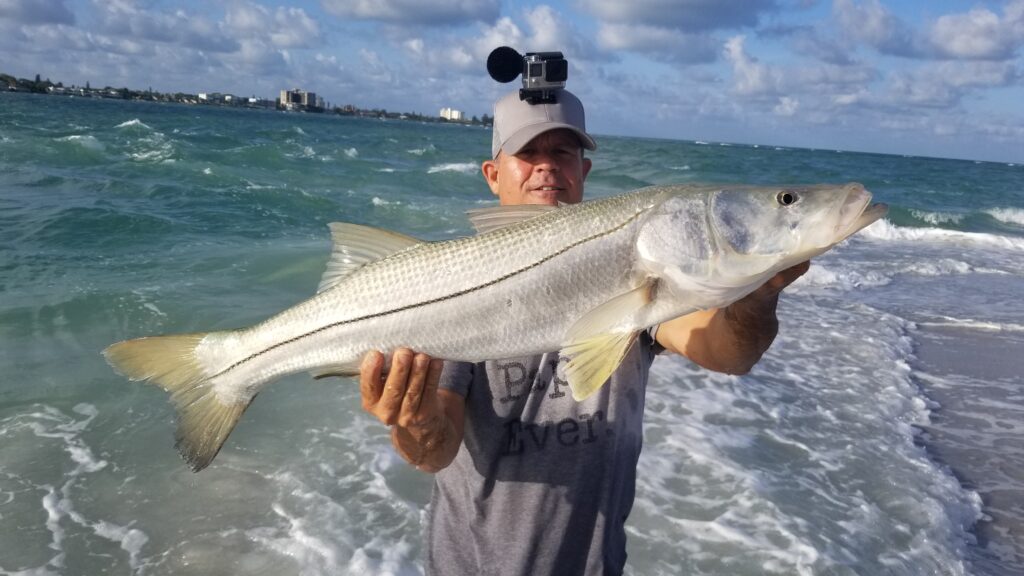 Tampa Bay snook fishing charter