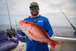 American red snapper in gulf