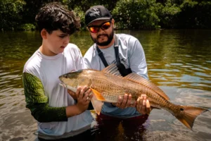 Book a Tampa Bay Redfish Charter