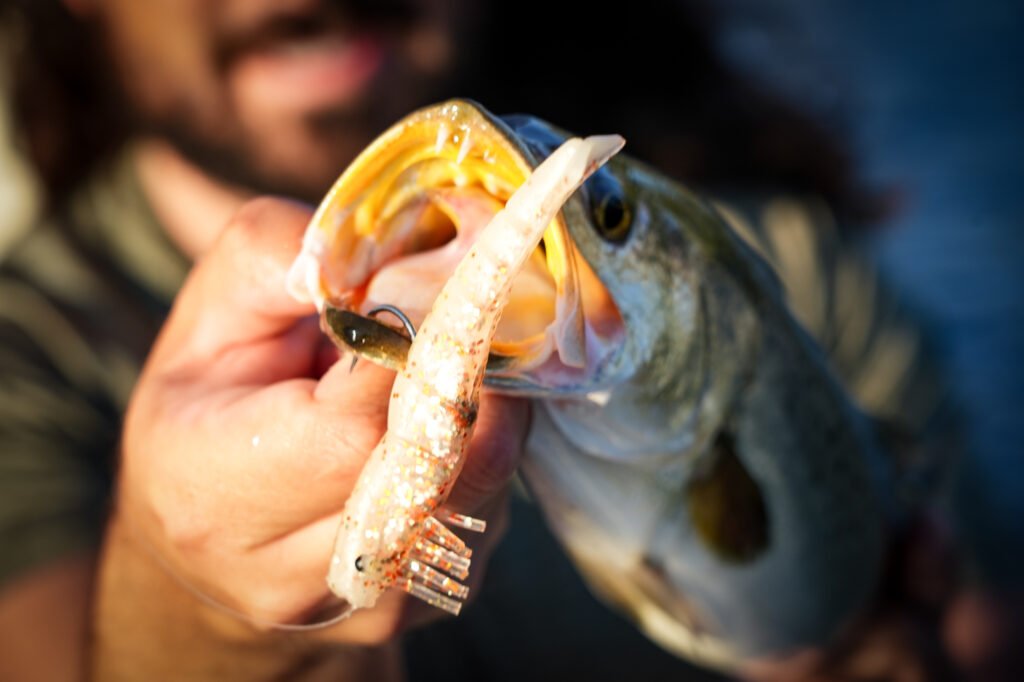 D.O.A Speckled Trout Fishing 