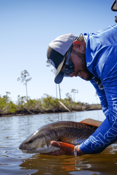 Redfish release 