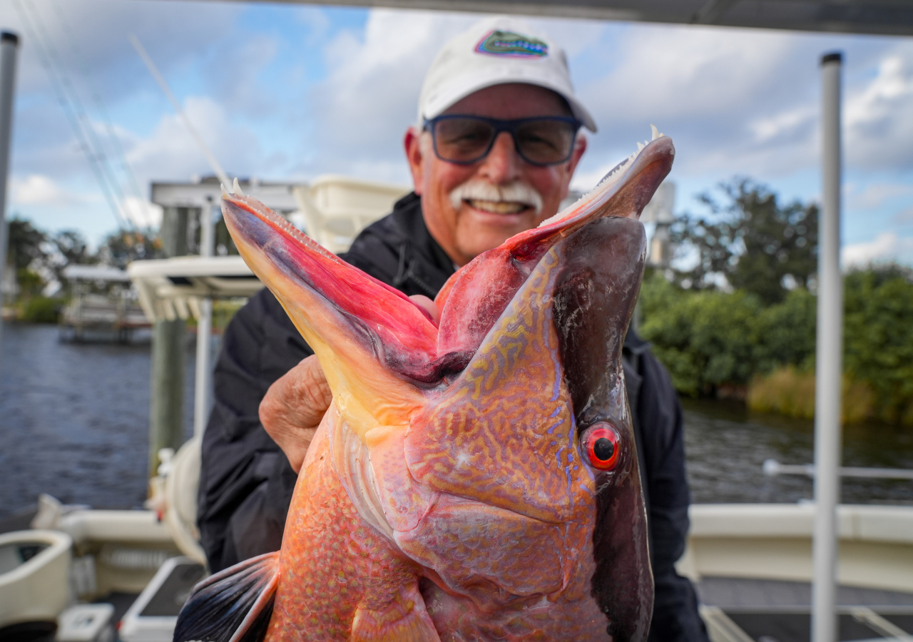 Coach with a nice hogfish