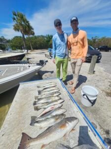 Tampa Bay Speckled Trout Charter