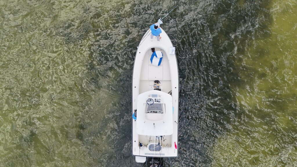 Fishing in Tampa Bay