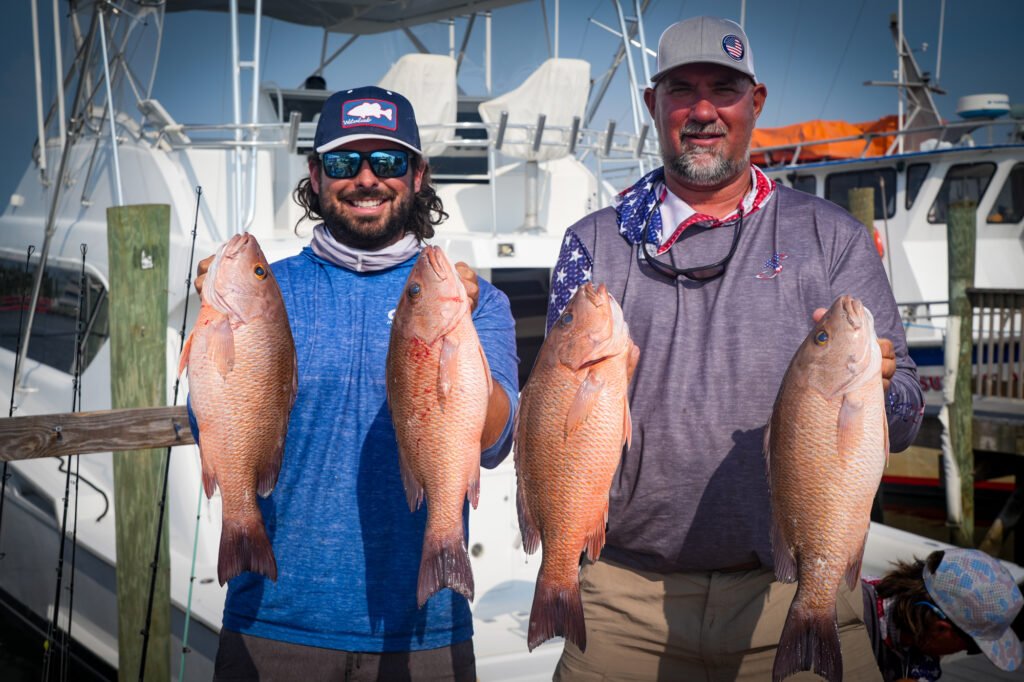 Mangrove Snapper Panama City Beach FL 