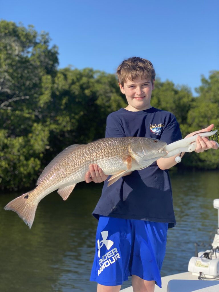 Redfish caught in Apollo Beach FL 