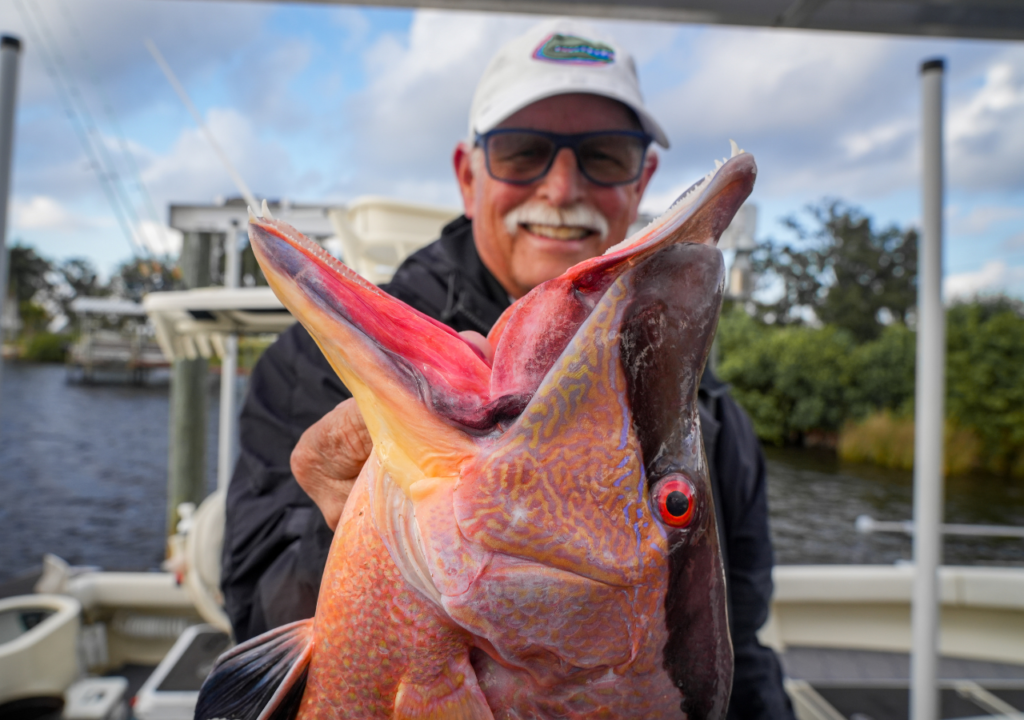 Tampa Bay fishing charter