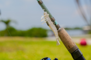 D.O.A Shrimp lure