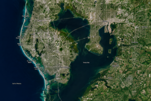 Tampa Bay trout fishing charter