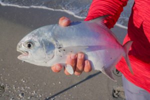 Surf fishing for pompano