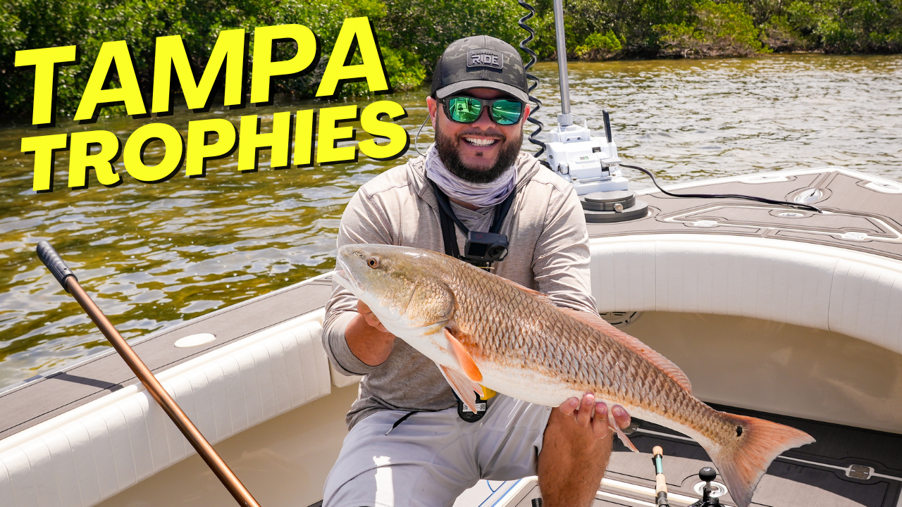 Tampa Bay fishing charter video