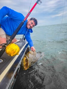 Nick catches PB goliath grouper