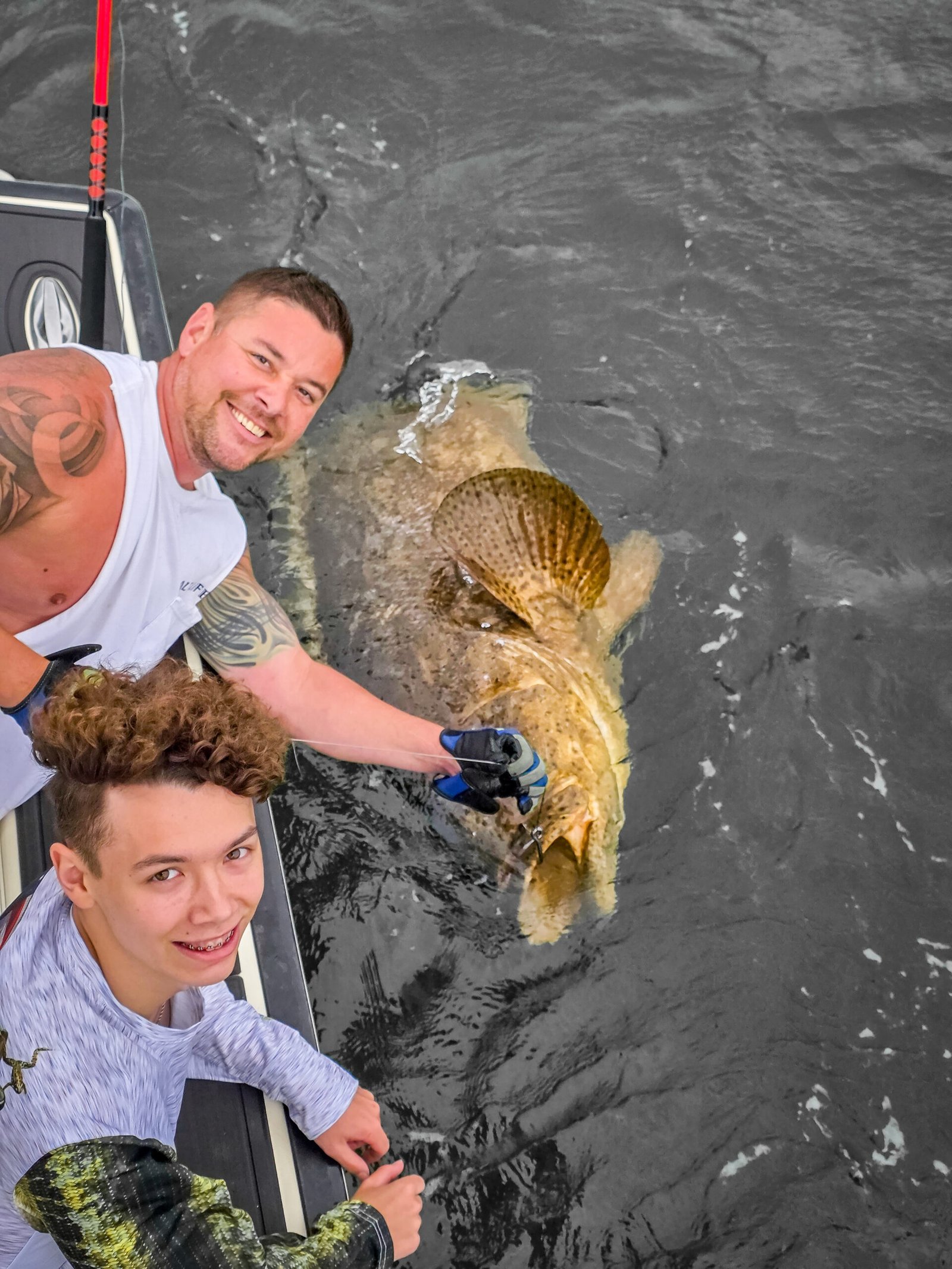 200lb goliath grouper