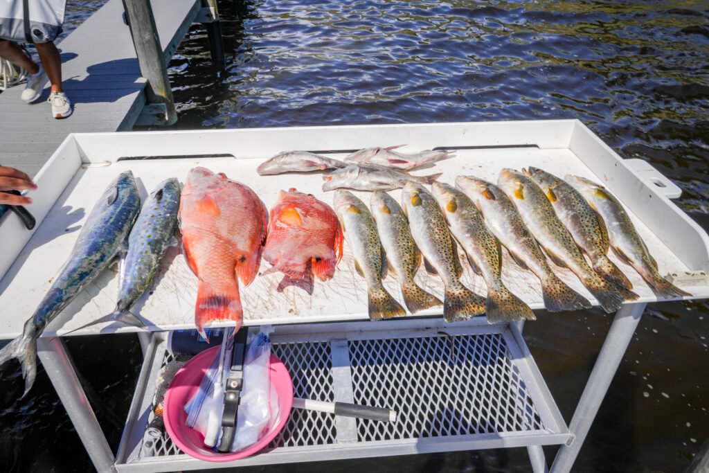 Tampa Bay Meat trip