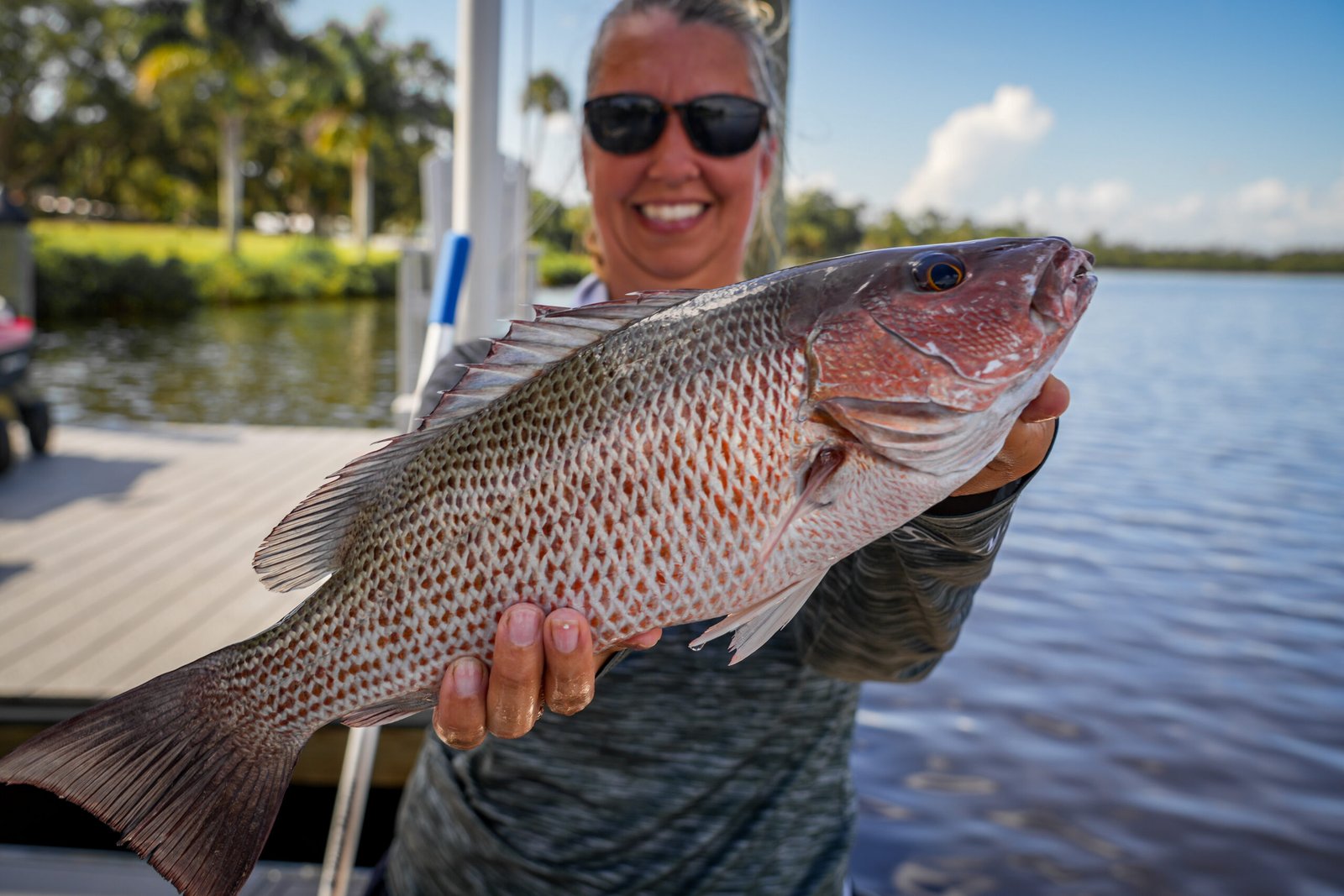 Tampa Bay mangrove snapper fishing
