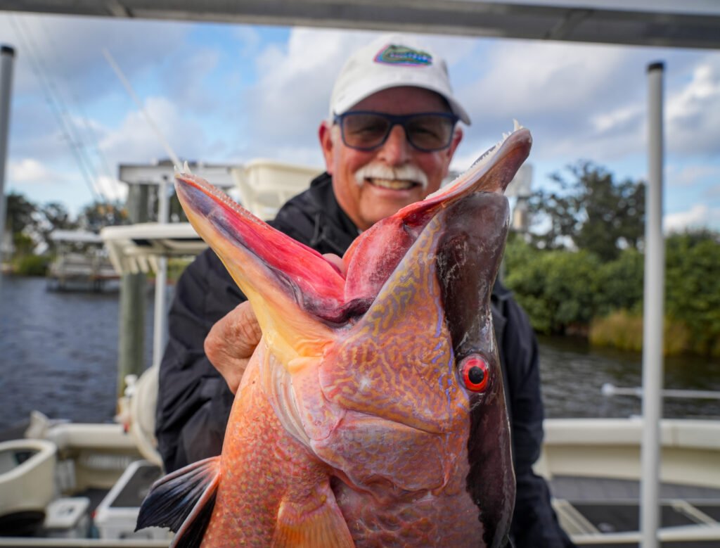 Tampa Bay Hogfish Charter