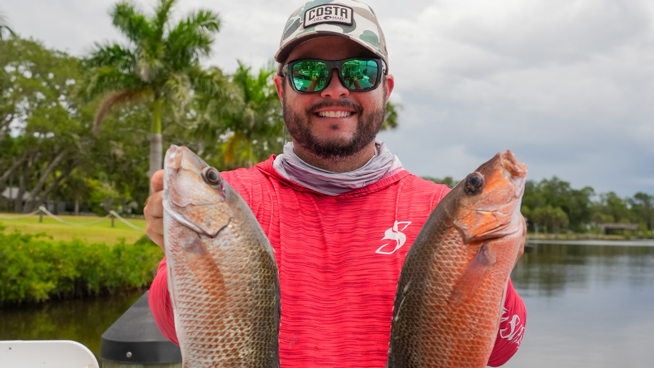 JYG jigs for snapper