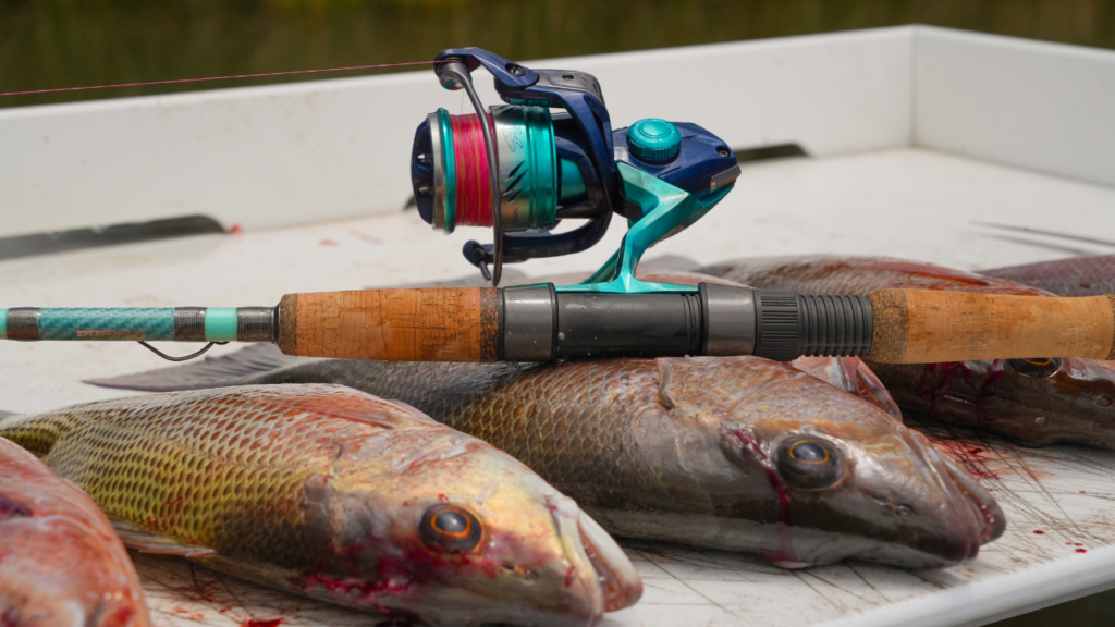 Rigs for Mangrove Snapper