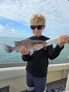 Ben catches a big Tampa Bay mangrove snapper