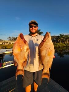 Big Male hogfish