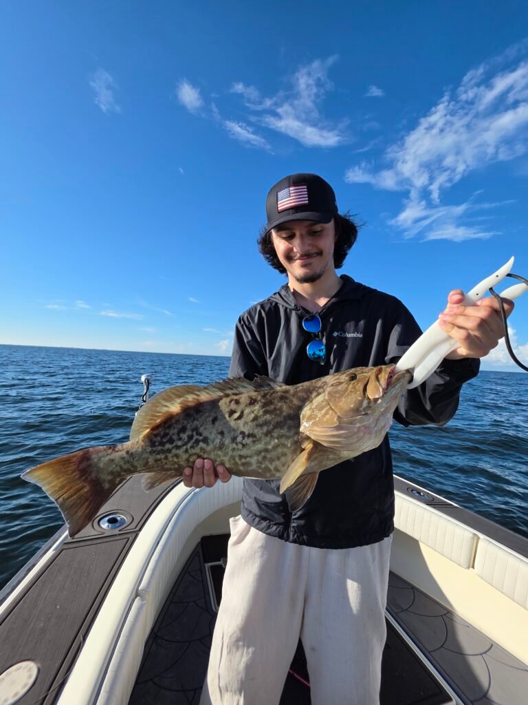 Trolling for Gag grouper