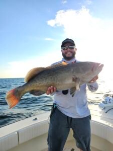 Big Tampa Bay Gag Grouper