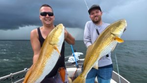 Big Tampa Bay Redfish