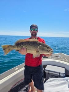 big gag grouper offshore