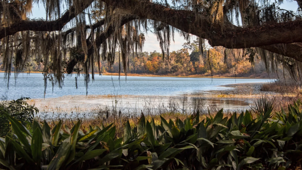 How Cold Fronts Change Tampa Bay Fishing