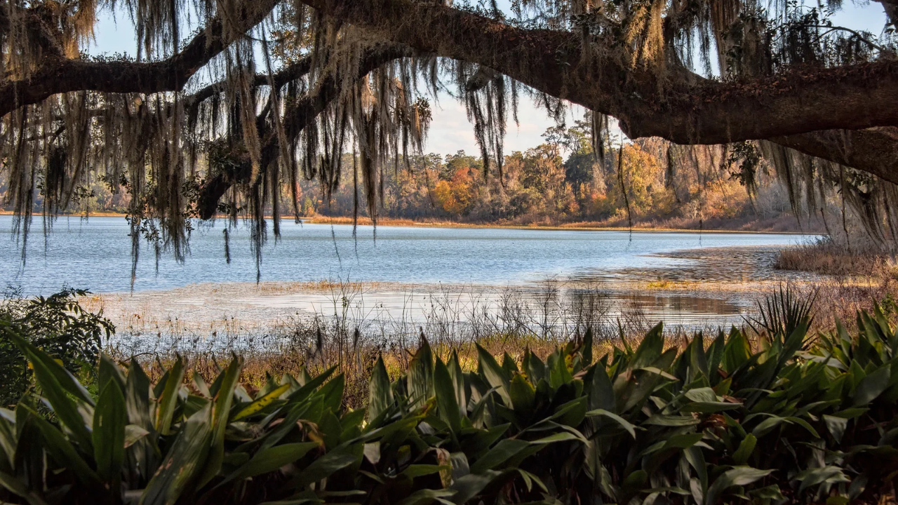 How Cold Fronts Change Tampa Bay Fishing